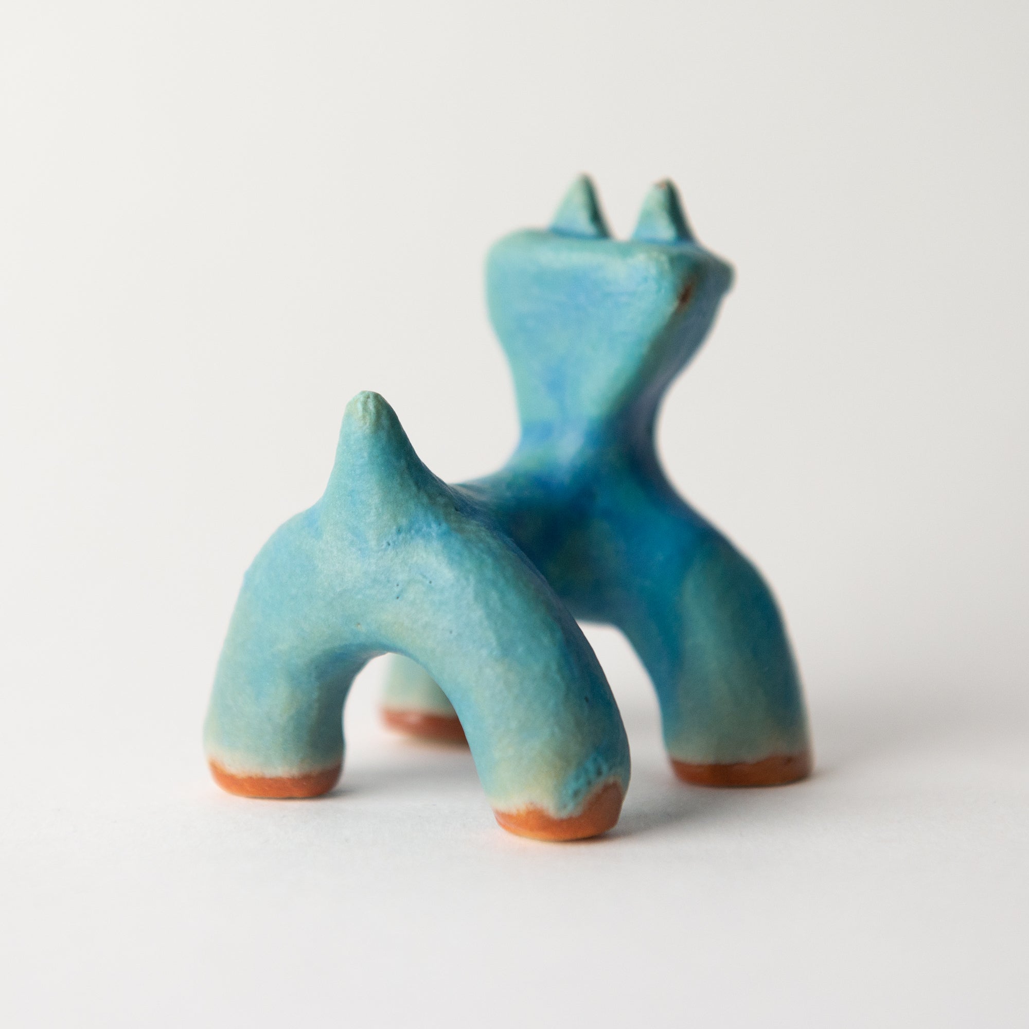 cat blue small